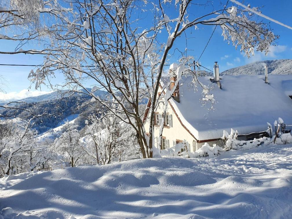 Le Nid Du Kaloui Bed & Breakfast Freland Exterior photo