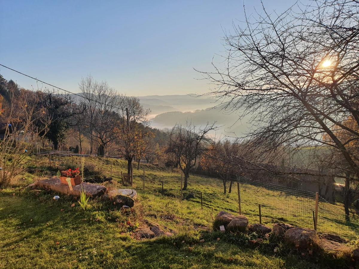 Le Nid Du Kaloui Bed & Breakfast Freland Exterior photo