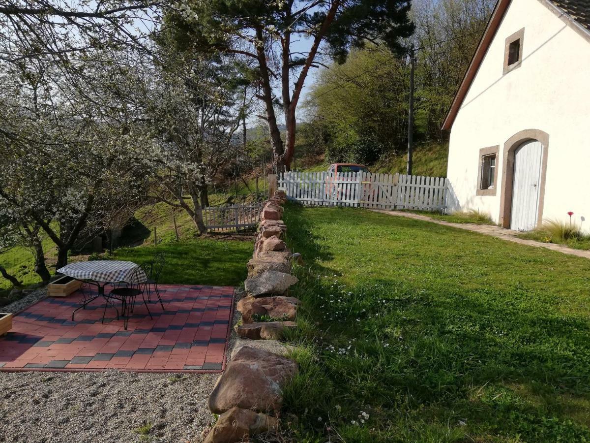 Le Nid Du Kaloui Bed & Breakfast Freland Exterior photo